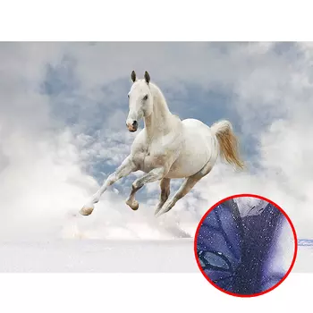 Фреска Ortograf