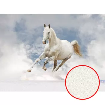 Фреска Ortograf