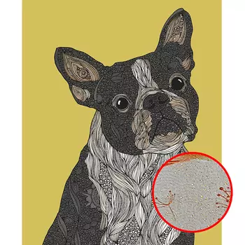 Фреска Ortograf