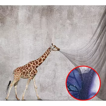 Фреска Ortograf