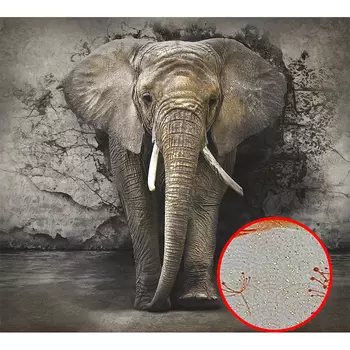 Фреска Ortograf