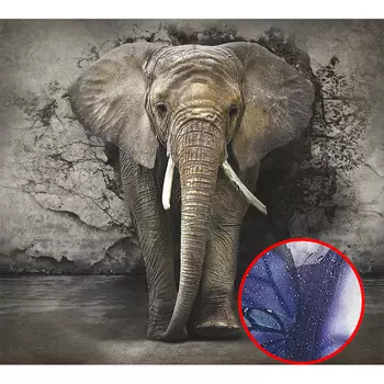 Фреска Ortograf