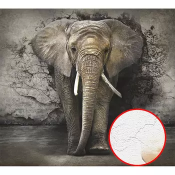 Фреска Ortograf