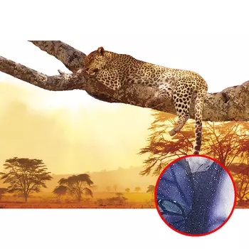 Фреска Ortograf