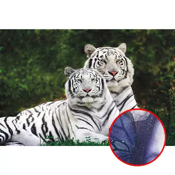 Фреска Ortograf