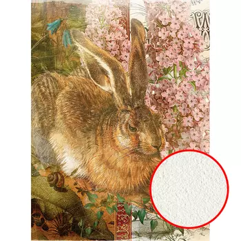 Фреска Ortograf