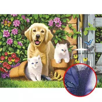 Фреска Ortograf