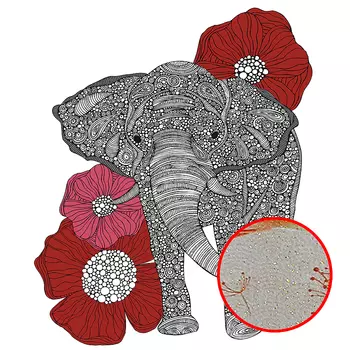 Фреска Ortograf