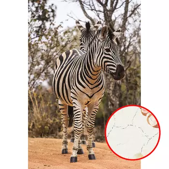 Фреска Ortograf