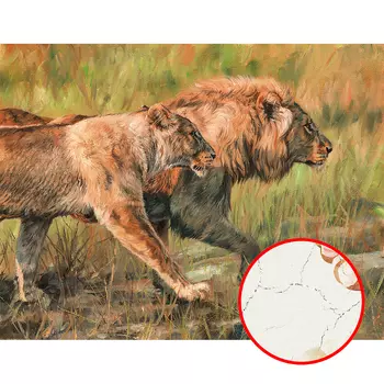 Фреска Ortograf