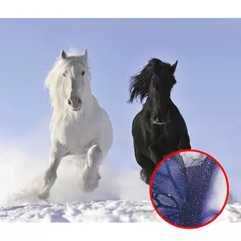 Фреска Ortograf