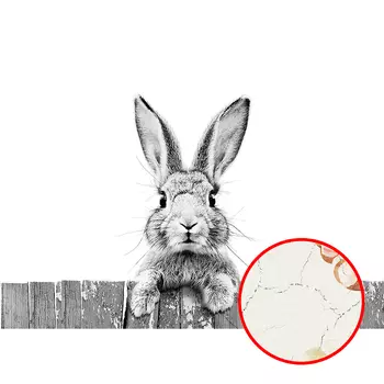 Фреска Ortograf