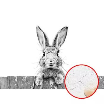 Фреска Ortograf