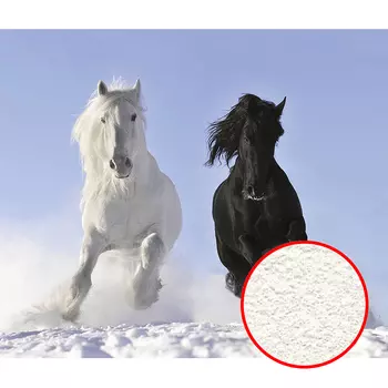 Фреска Ortograf