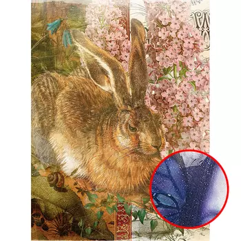 Фреска Ortograf