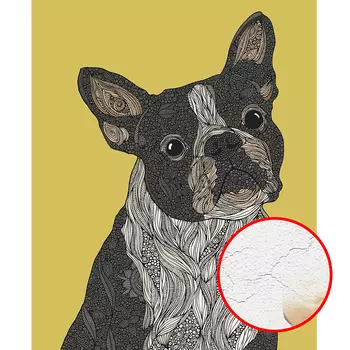 Фреска Ortograf