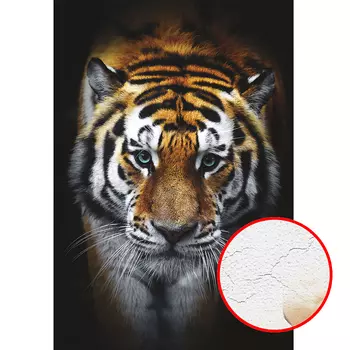 Фреска Ortograf