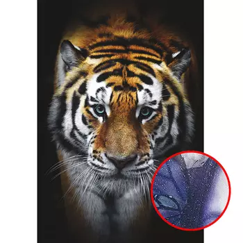 Фреска Ortograf