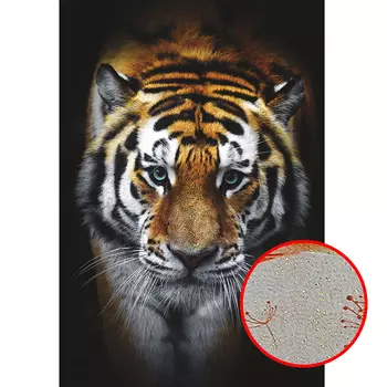 Фреска Ortograf