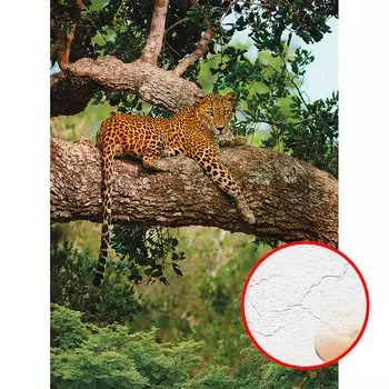 Фреска Ortograf