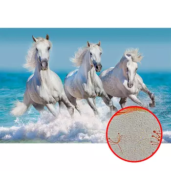 Фреска Ortograf