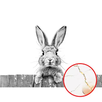 Фреска Ortograf