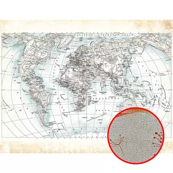 Фреска Ortograf