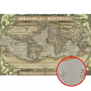 Фреска Ortograf