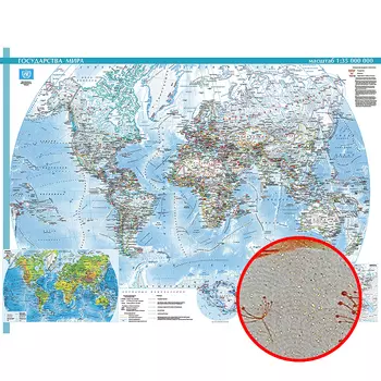 Фреска Ortograf