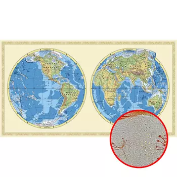 Фреска Ortograf