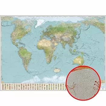 Фреска Ortograf