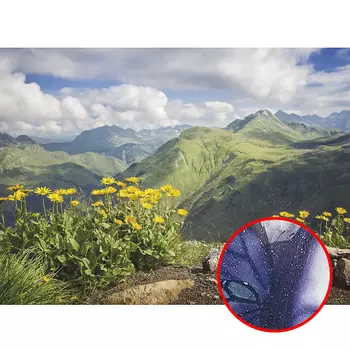 Фреска Ortograf