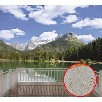 Фреска Ortograf