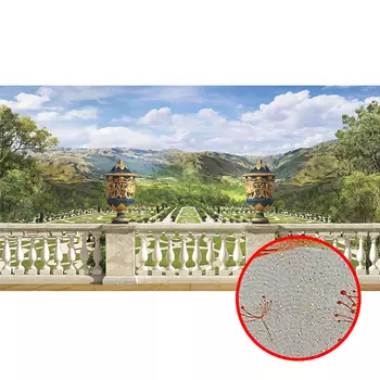 Фреска Ortograf