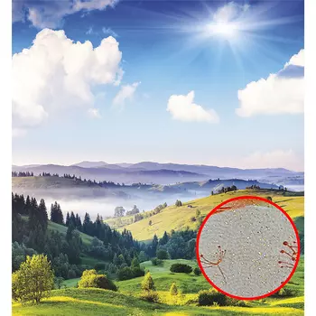 Фреска Ortograf