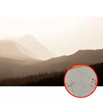 Фреска Ortograf