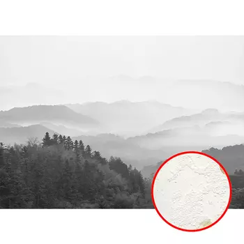 Фреска Ortograf