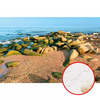 Фреска Ortograf