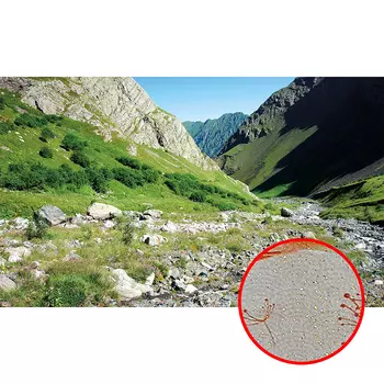 Фреска Ortograf