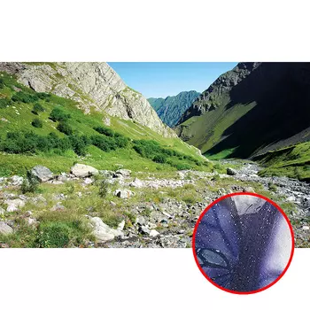 Фреска Ortograf