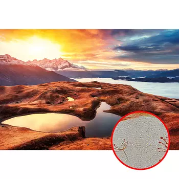 Фреска Ortograf