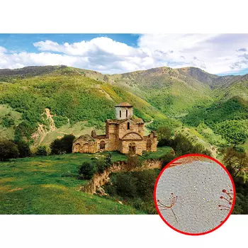 Фреска Ortograf