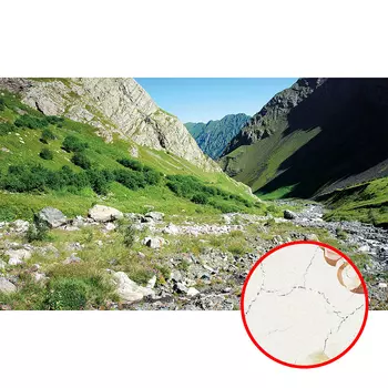 Фреска Ortograf