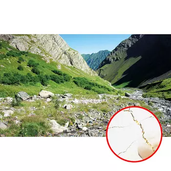 Фреска Ortograf