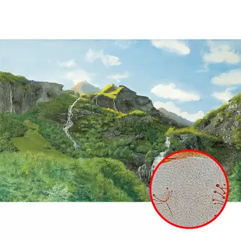 Фреска Ortograf