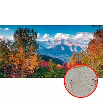 Фреска Ortograf