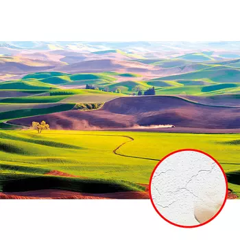 Фреска Ortograf