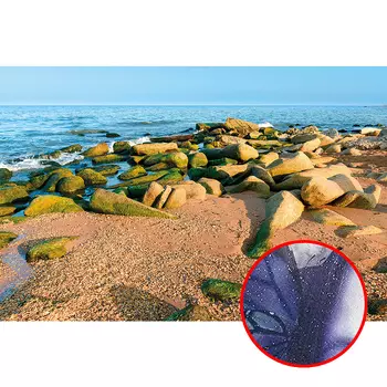 Фреска Ortograf