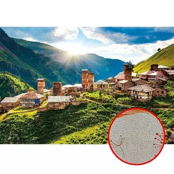 Фреска Ortograf