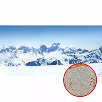 Фреска Ortograf